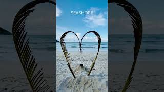 Beach | Peaceful Morning | Nature Enthusiast | #shorts #asmr #oddlysatisfying