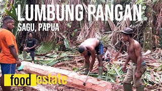 Food Estate, Sagu Sumber pangan orang papua #papua #foodestate