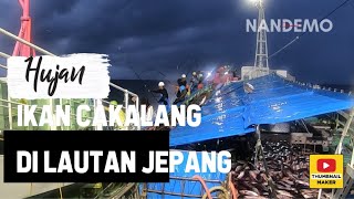 Tidak asal tarik kalo memancing ikan cakalang seperti Ini, pole and line japan