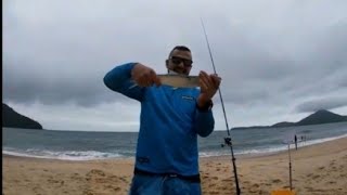 Pescaria de praia...praia vermelha do norte Ubatuba sp!!!🐟🐟🐟🎣