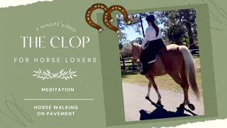 🐴 Hoof Sounds On Pavement #horse #asmr