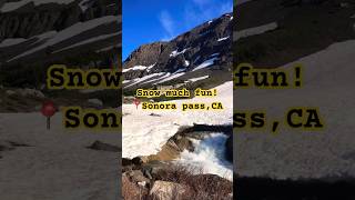 Snow much fun in Sonora pass | high mountain pass of California | 9600 ft #travelvlog #roadtrip