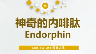 神奇的内啡肽 Endorphin