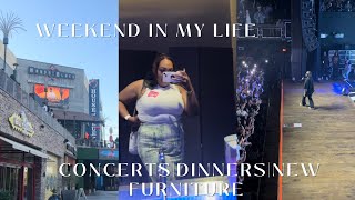 Weekend In My Life | Free Concert| Dinner| New Furniture