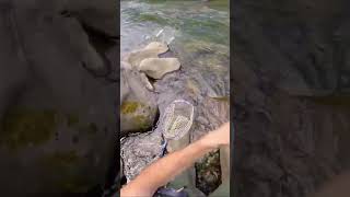 fish on air NICE CATCH #shorts #youtube #youtubeshorts #fishing #viral