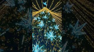 Под куполом главной 🎄 города