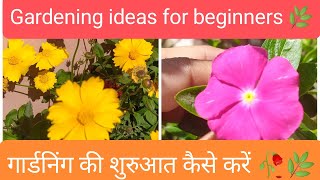 Gardening ideas for beginners / gardening ki shuruaat kaise kare / gardening की शुरुआत कैसे करें