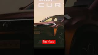 Tata Curvv 2024 #tata #tatacurvv #trending #shorts