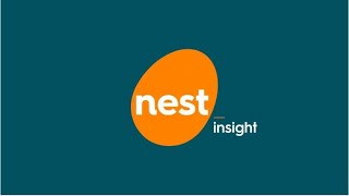 Nest Insight's highlights of 2019