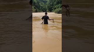 Traditional fishing...!! Lempar jala ikan sungai air keruh#fishingnets