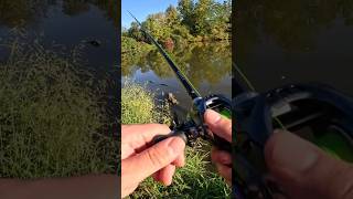 Largemouth Bass on the Texas Rigged Googan Lunker Log! #shorts