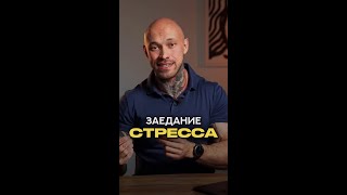 Как справиться с заеданием стресса? #физикл #стресс #shorts