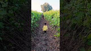 Cotton Farming