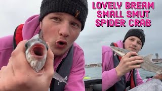 Inflatable Boat Fishing Live! Bream, Bass, Mackerel & Conger Hunt