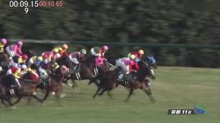 2017/1/5　京都金杯　エアスピネル　（タイムコード・ヴァーチャルライン入り）