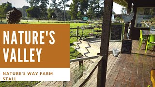 Explore South Africa -NATURE'S VALLEY PASS DRIVE - NATURE'S WAY FARM STALL - NATURE'S VALLEY -VOL. 3