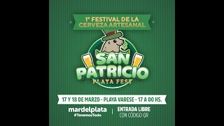 Mar del Plata vivió su primera Fiesta de la Cerveza Artesanal