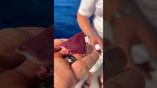 Tuna heart still BEATING!! Watch what happens next!