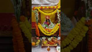 আজকের গোপাল দর্শন #gopal #gopala #like #live #views #trending