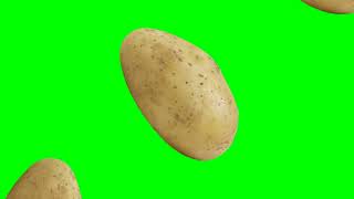 Potato Green Screen 🥔