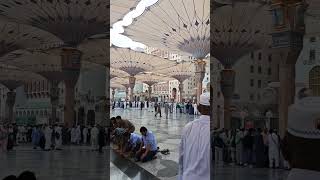 Subhanallah #المدينة_المنورة #مسجد_نبوی_صلی_اللہ_علیہ_وسلم #shortvideo