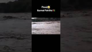 Flood in Barmal Paktika Last year #shorts😱😱😭 #floods#floodwarning