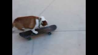 Maggie May Riding in Skateboard Park-