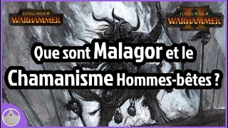 Malagor et le Chamanisme Hommes-bêtes - Lore et Total War Warhammer [FR]