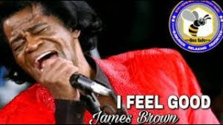 James Brown. I Feel Good