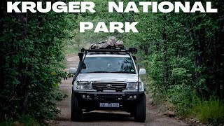 THE BEST OF KRUGER | TSENDZE & PUNDA MARIA | Episode 1