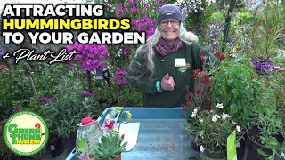 Attracting Hummingbirds to Your Garden: Species, Plants & Fun Facts | Green Thumb Nursery