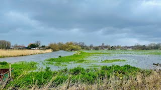 Ringwood fishery - Hampshire Avon