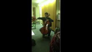 The Swan by Saint-Saens for Cello by Nathan Chan