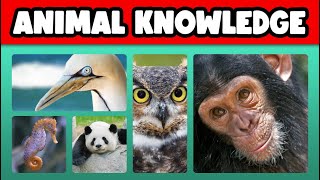 Animal Quiz: Test your Animal Knowledge