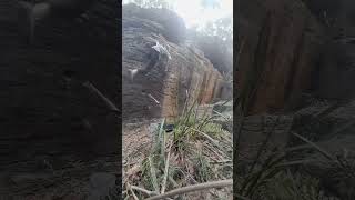 Fish Food V7 Flash - Sydney bouldering #rockclimbing #bouldering #climbing #dyno