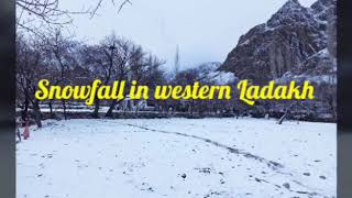 Snowfall In Leh Ladakh