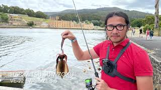 Squidding at Port Arthur, Tasmania