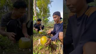 Cara mengupas kelapa muda #fyp #viralvideo #shorts