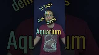 10 Tipps für dein erstes Aquarium Tipp #2