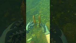 Found Potential Poison Glass Vials Underwater! (Scuba Diving)