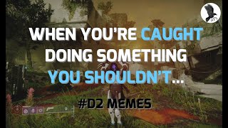 When you're caught doing something you shouldn't... #D2Memes