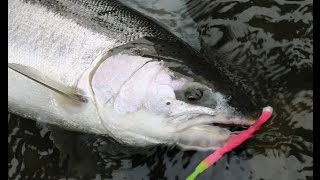 Olympic Peninsula Steelhead || Road trip!