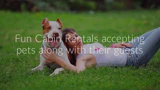 The Best Pet Friendly Vacation Rentals In Twain Harte California