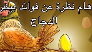 هام❗️❗️ نظرة عن فوائد بيض الدجاج🥚