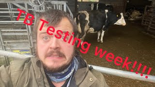 TB TESTING!!! How big of a disaster will it be??