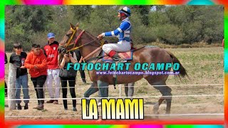 LA MAMI   Avia Terai   Chaco  15 09 2024