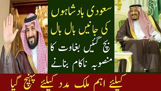 Saudia King Mohammad Bin Salman Action In Against the prince's