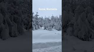 Romania, winter landscape #travel #travelvlog #romania