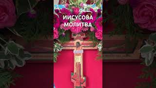 Иисусова молитва: Господи Иисусе Христе Божий, помилуй меня!..💖☀️🕊