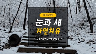 02 눈꽃과 새소리 #눈내리는날 #자연치유